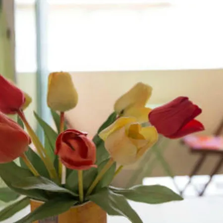 Apartment Coquelicots Nice