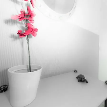Coquelicots *